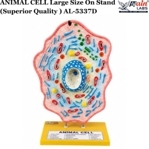 AVAIN LABS® ANIMAL CELL MODEL