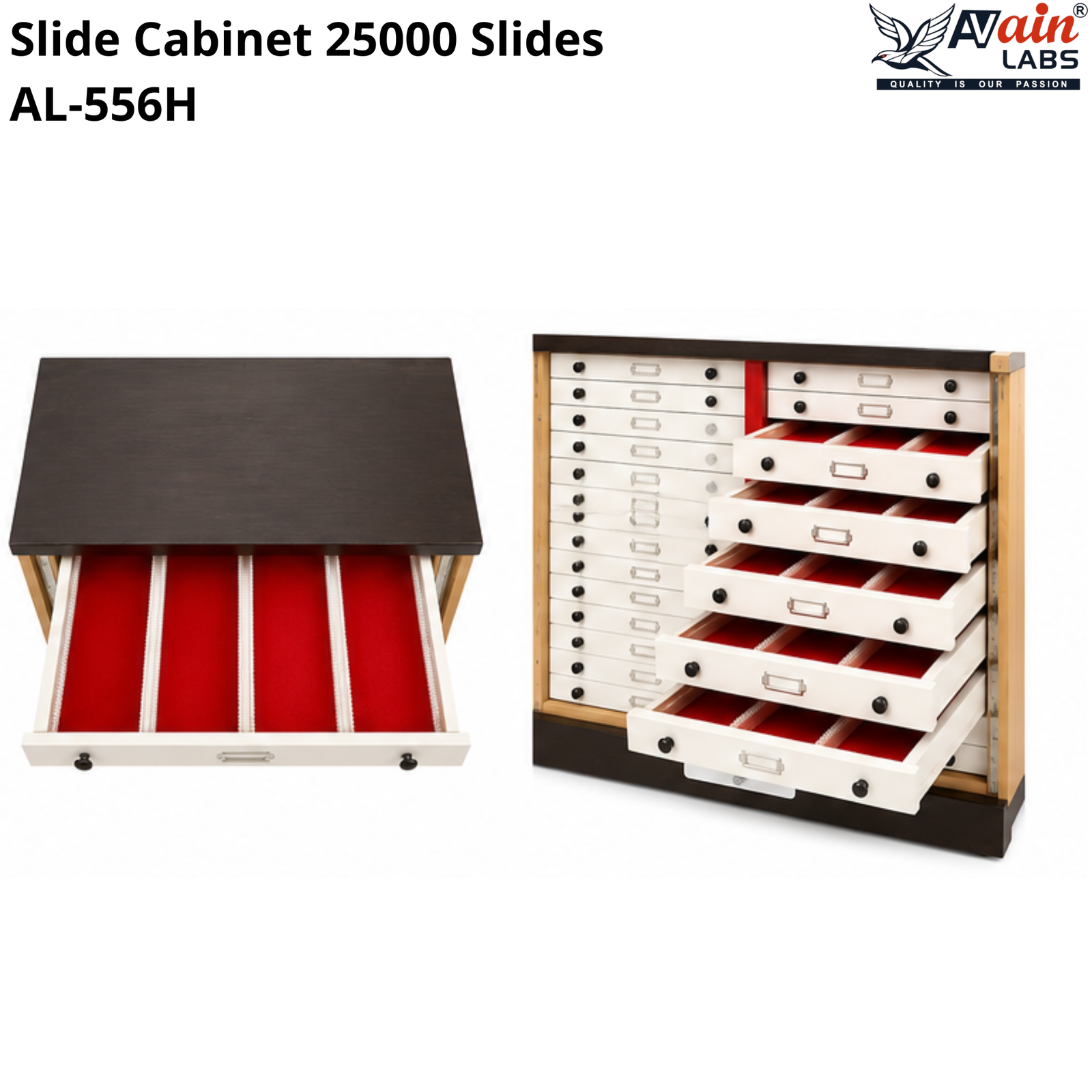 AVAIN LABS® Slide Cabinet - Image 4
