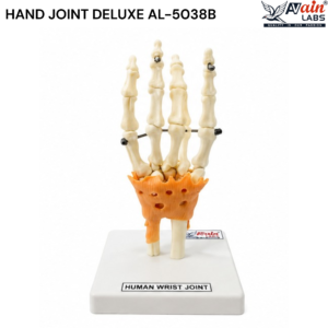 AVAIN LABS® HAND JOINT