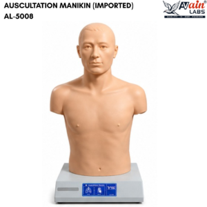 AVAIN LABS® AUSCULTATION MANIKIN (IMPORTED) AL-5008