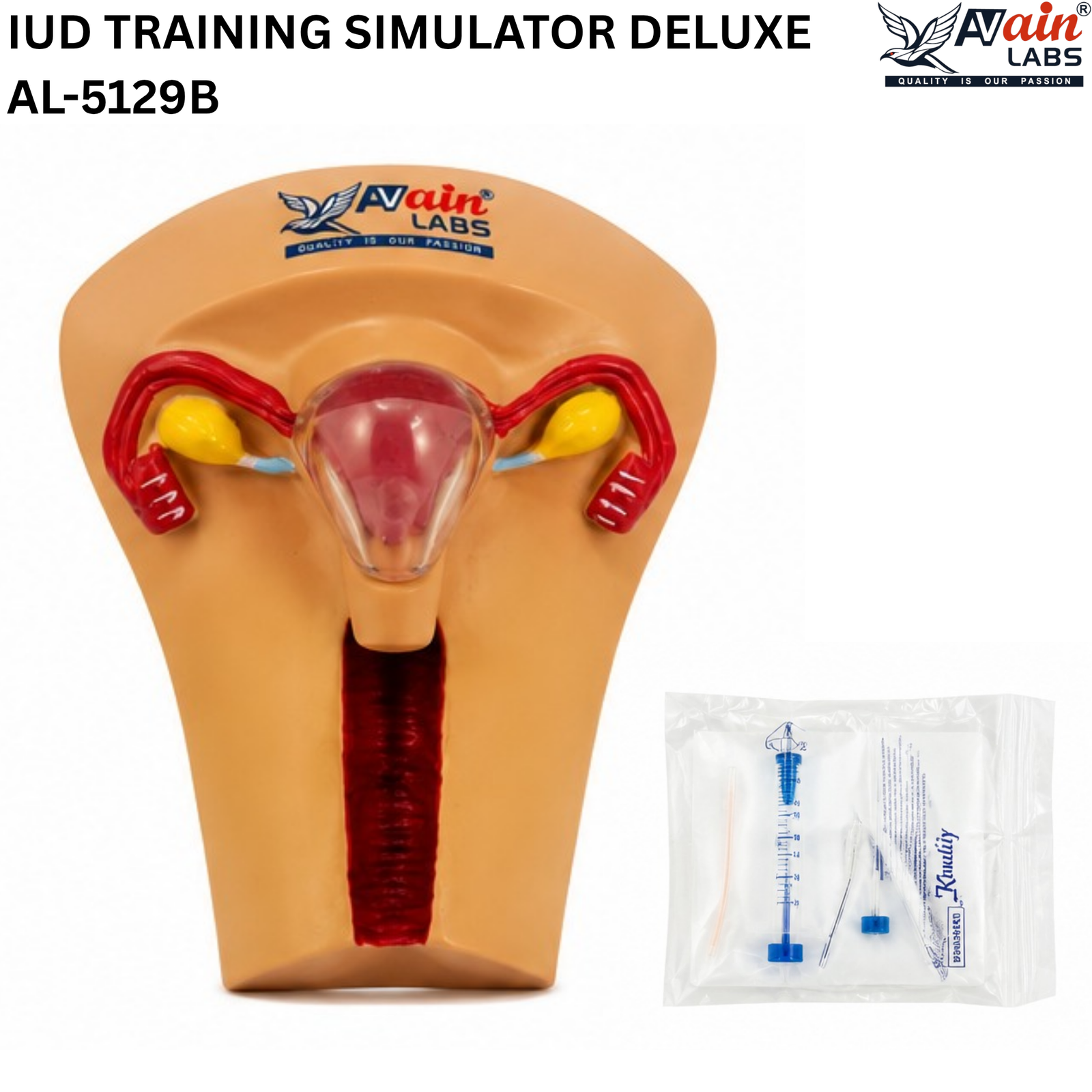 AVAIN LABS® IUD TRAINING SIMULATOR